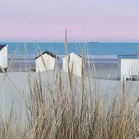 L'opaline 2 - Vue Calais