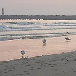L'Opaline 2 - Vue Mer *