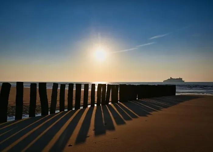 L'Opaline 2 - Vue Mer